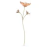Swarovski Garden Tales: Magnolia Decoration, Orange, 5557799 -SWAROVSKI shop 5557799 png 96591.1614157040